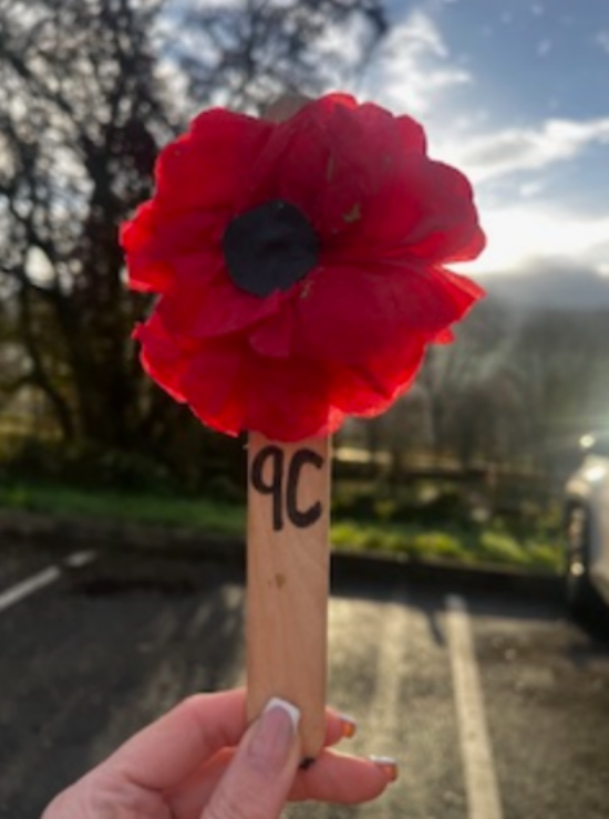 Remembrance Sunday Reflections