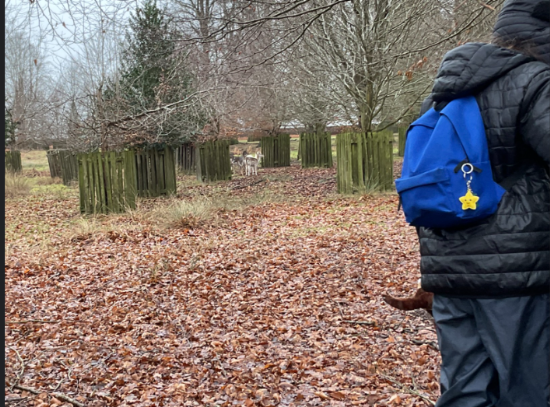 Horticulture - 19.12.25